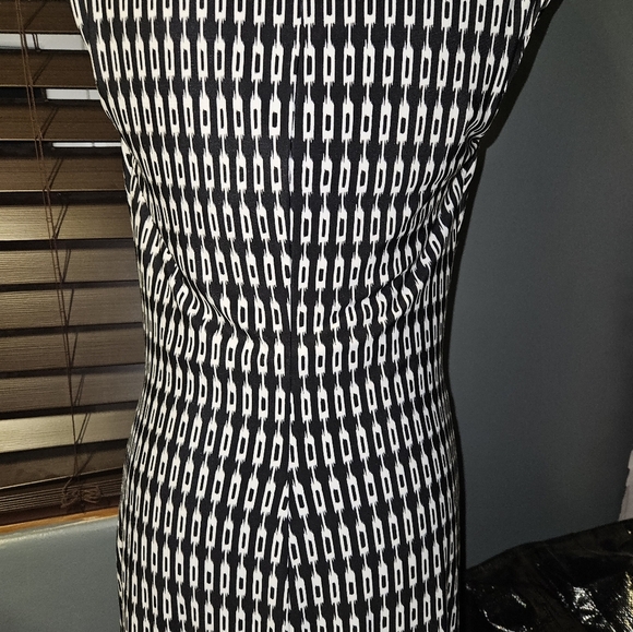 The Limited Womans Sleeveless Dress Size Xs - Picture 10 of 15
